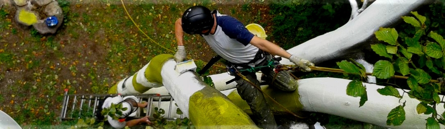 Baumschutz Baumschutz