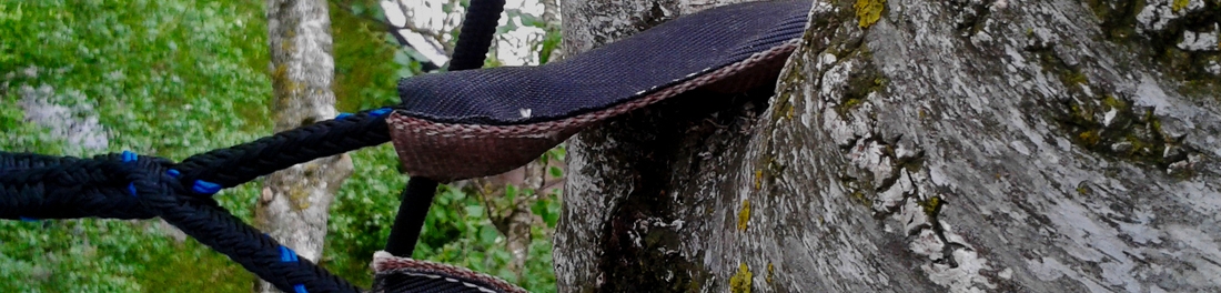 Kronensicherung Kronensicherung