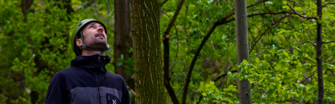 Umweltbaubegleitung Umweltbaubegleitung