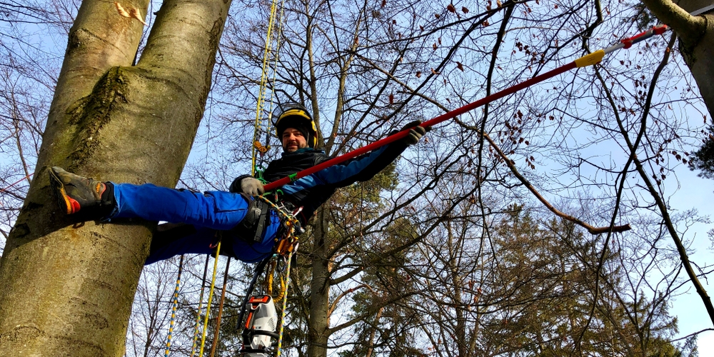 Artem mit Teleskopsäge auf Buche Artem mit Teleskopsäge auf Buche
