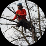 Marvin Weber Marvin Weber